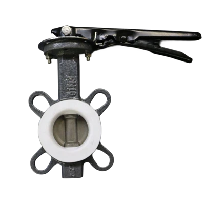 ডুপ্লেক্স পিটিএফই প্রজাপতি ভালভ স্টেইনলেস স্টিল